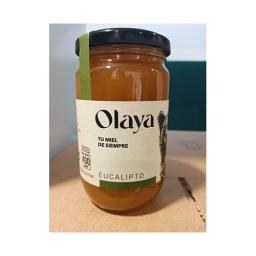 eucalyptus-honey-500g-.jpg